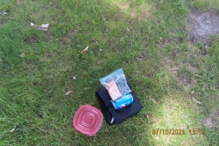 Belle-Isle-Picnic-7-10-21-121